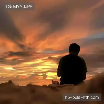 董治鹤